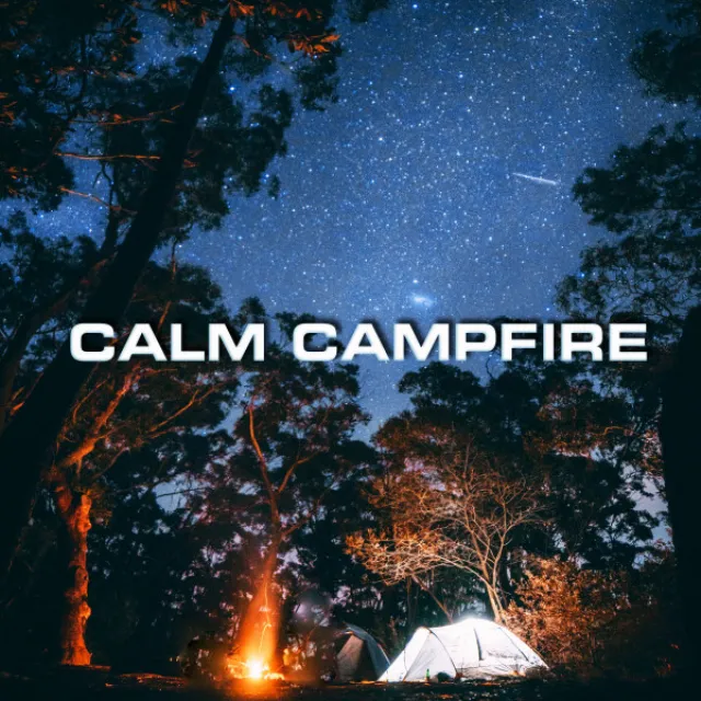 Beach Forest Campfire Ambience