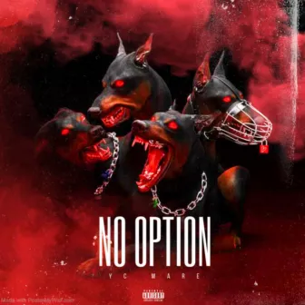 No Option by RTM MARE