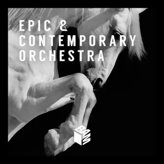 Epic & Contemporary Orchestra by Bastien Deshayes