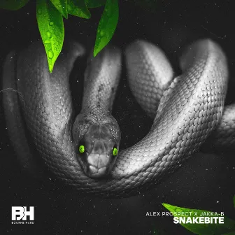 Snakebite by Jakka-B