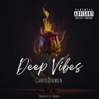 Deep Vibes by Chris Diamen