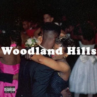 Woodland Hills by Don Lifted