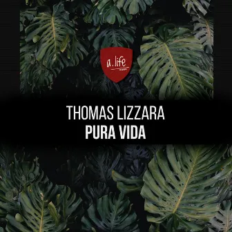 Pura Vida by Thomas Lizzara