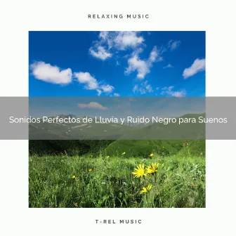 Sonidos Perfectos de Lluvia y Ruido Negro para Suenos by Ruido Blanco