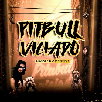 Pitbull Viciado by BL na Voz