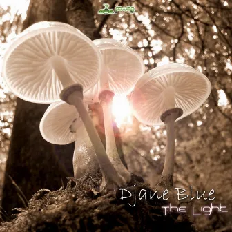 The Light by Djane Blue