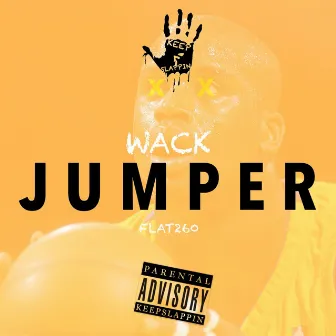 Wack Jumper by Flat260