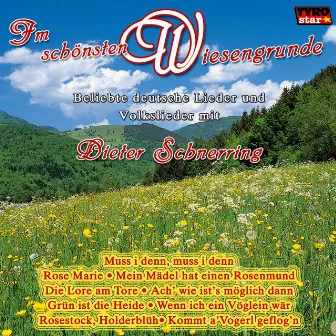 Im schönsten Wiesengrunde by Dieter Schnerring