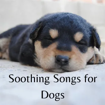 Soothing Dog Songs by Dog Songs