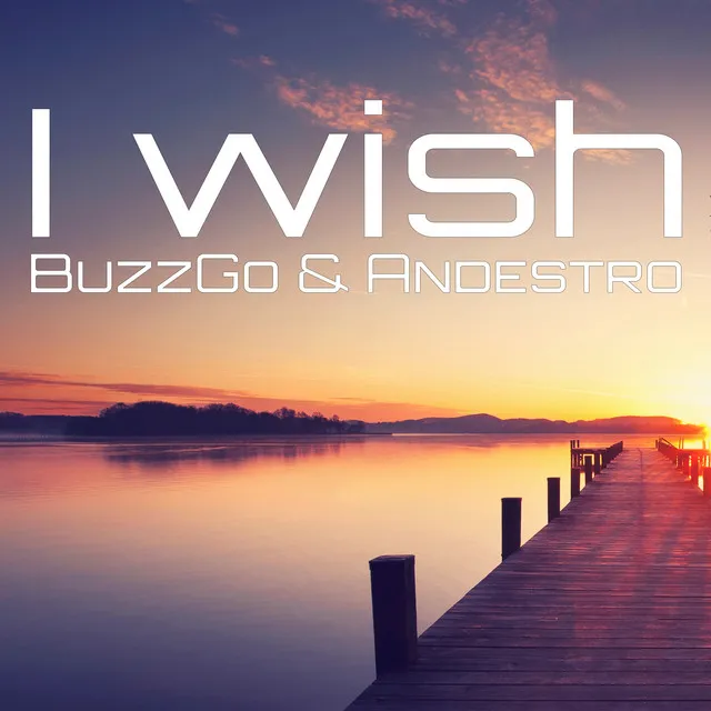 I Wish - Radio Edit