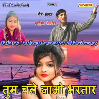 Tum Chale Jao Bhartar by Bijender