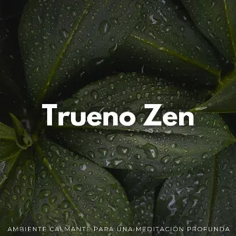 Trueno Zen: Ambiente Calmante Para Una Meditación Profunda by Relámpagos Truenos y Tormenta de Lluvia