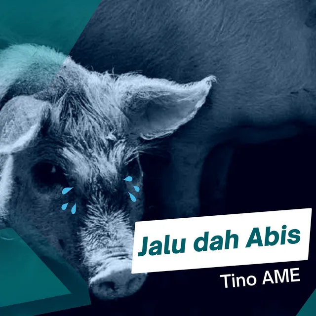 JALU DAH ABIS