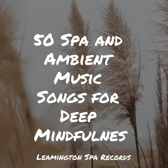 50 Spa and Ambient Music Songs for Deep Mindfulness