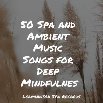 50 Spa and Ambient Music Songs for Deep Mindfulness by Soothing Baby Music