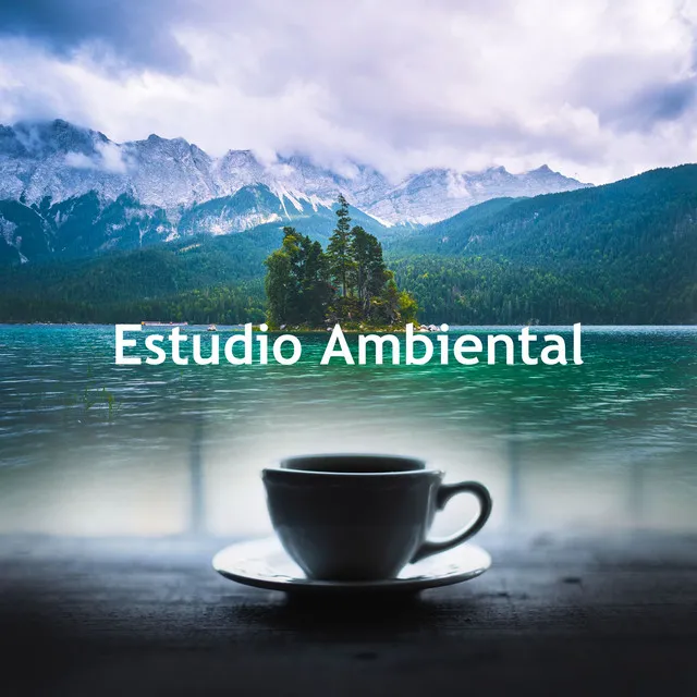 Estudio Ambiental