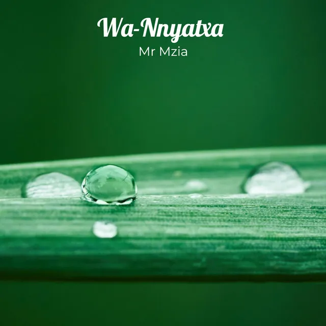 Wa-Nnyatxa