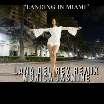 Landing in Miami by Monica Jasmine