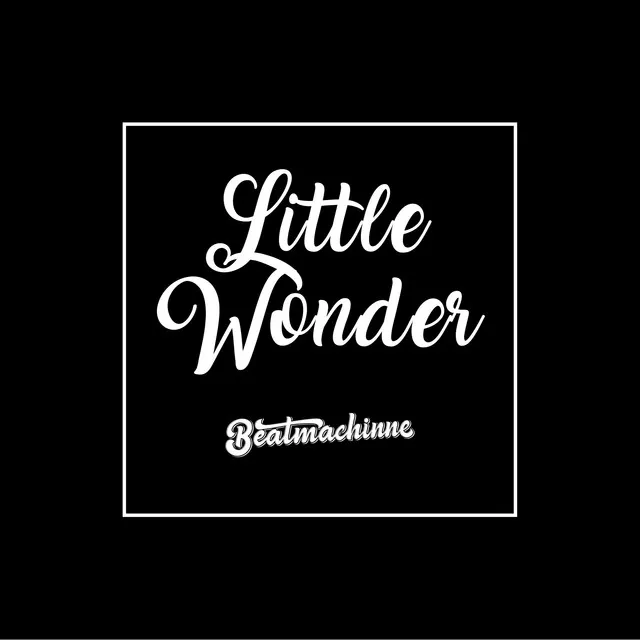 Little Wonder