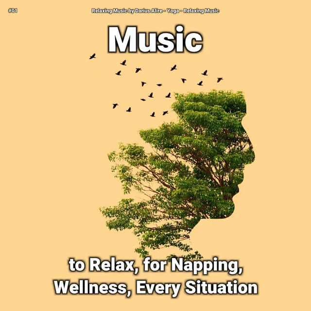 Reiki Music