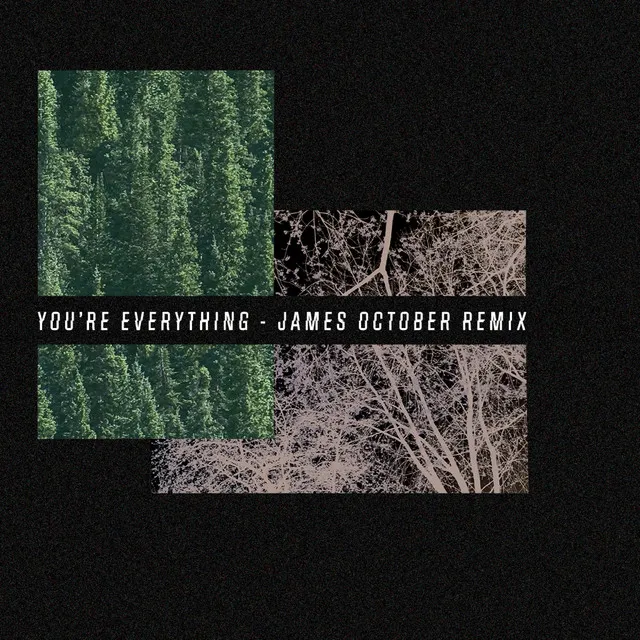 You're Everything (Remix)