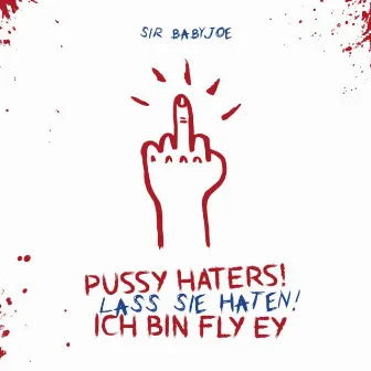 Pussy Haters, lass sie haten (ich bin fly ey) by Sir Babyjoe