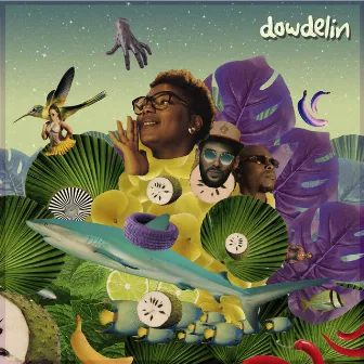 Laissé mwen by Dowdelin