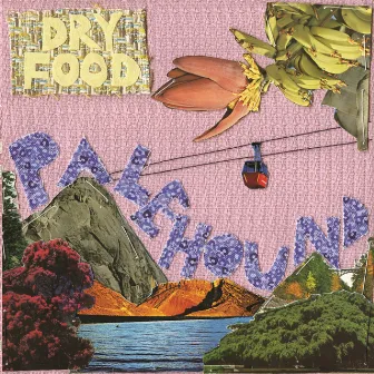 Dry Food by Palehound