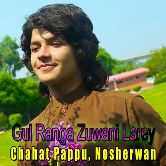 Gul Ranga Zuwani Larey - Single by Chahat Pappu