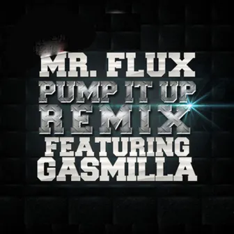 Pump It Up (Remix) by Mr Flux