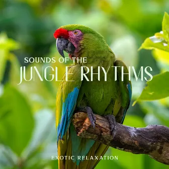 Sounds of the Jungle Rhythms: Exotic Relaxation by Exotic Area Zen