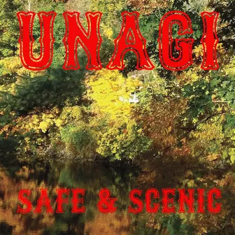 Safe & Scenic by Unagi