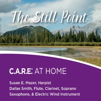 The Still Point: C.A.R.E. At Home by Susan E. Mazer