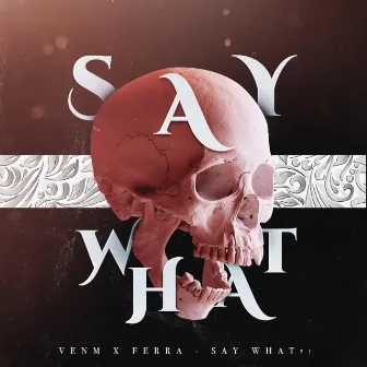 Say What?! by Venm