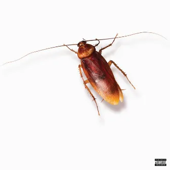 Cockroach by Yung Slayer