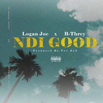 Ndi Good by Logan Joe