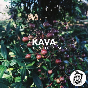 Kava by STLNDRMS