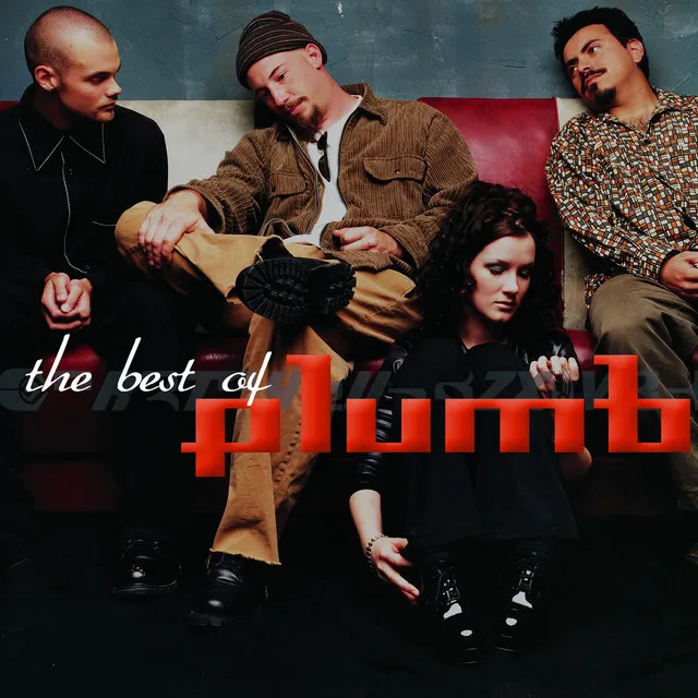 The Best Of Plumb