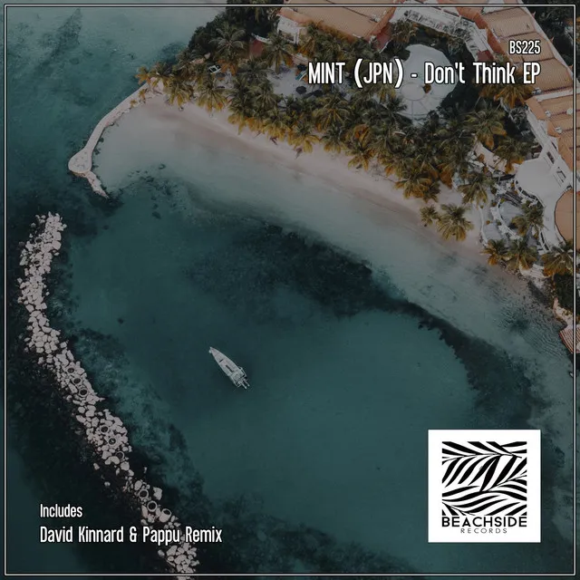 Don't Think - David Kinnard & Pappu Remix