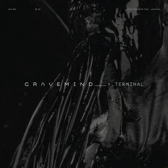 >_TERMINAL by Gravemind