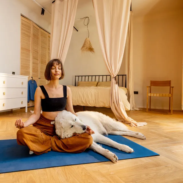 Piano's Pet Melodies for Rainy Bonding