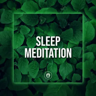 Sleep Meditation by Whale Song