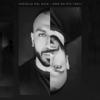 Non ho più fogli by Gioiello Del Nilo