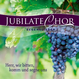 Herr, wir bitten, komm und segne uns by Jubilate-Chor