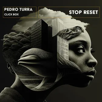 Stop Reset by Unknown Artist