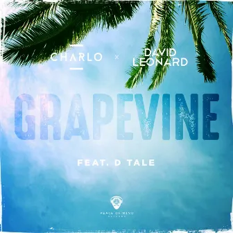 Grapevine by Charlo