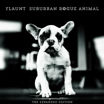 Suburban Rogue Animal: The Expanded Edition by Flaunt