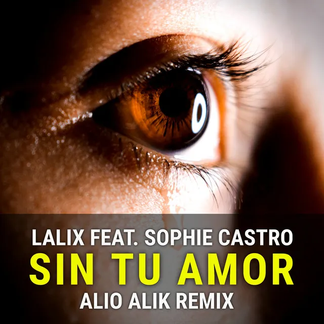 Sin Tu Amor (Remix)