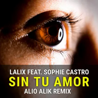 Sin Tu Amor (Remix) by Losen LM