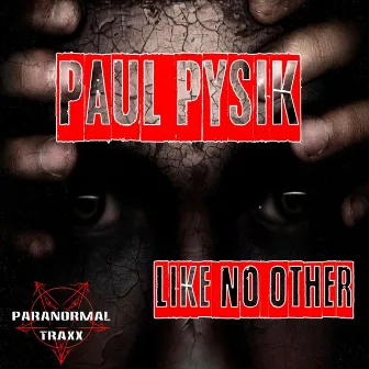 Like No Other by Paul Pysik